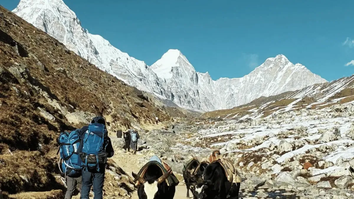 on-the-way-to-lobuche-1